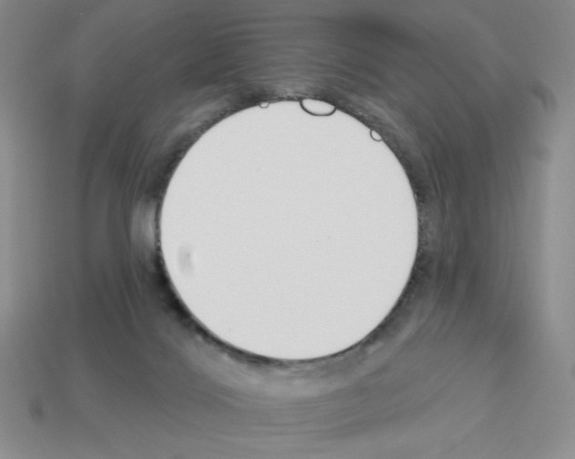 X0000112860028200910021321