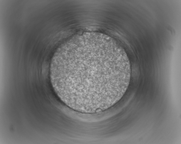 X0000112860030200910021321
