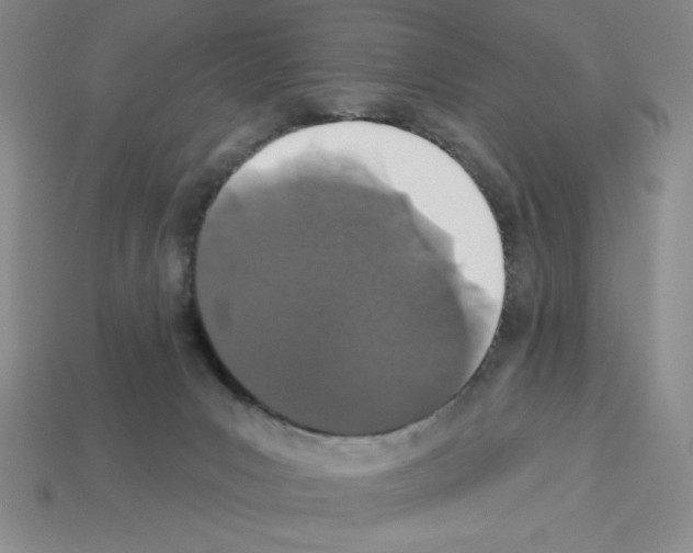 X0000112860031200910021321