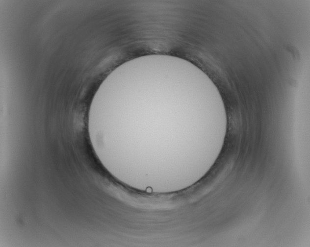 X0000112860032200910021321