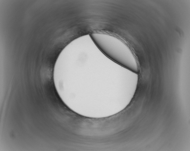 X0000112860033200910021321