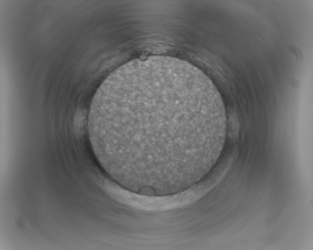 X0000112860034200910021321