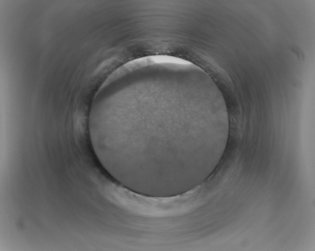 X0000112860035200910021321