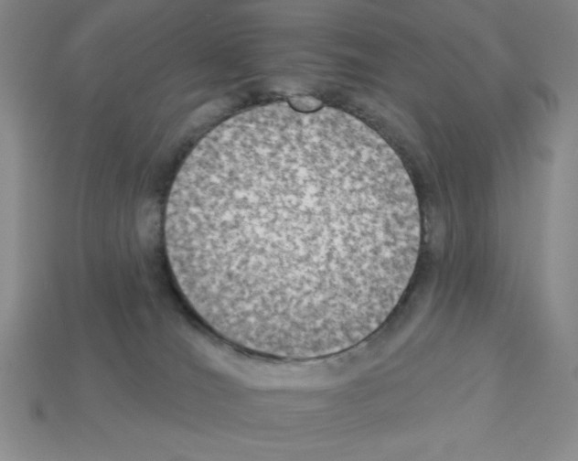 X0000112860036200910021321