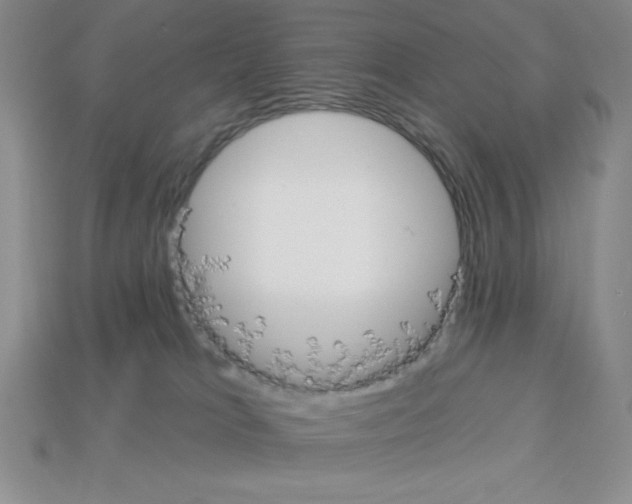 X0000112860037200910021321