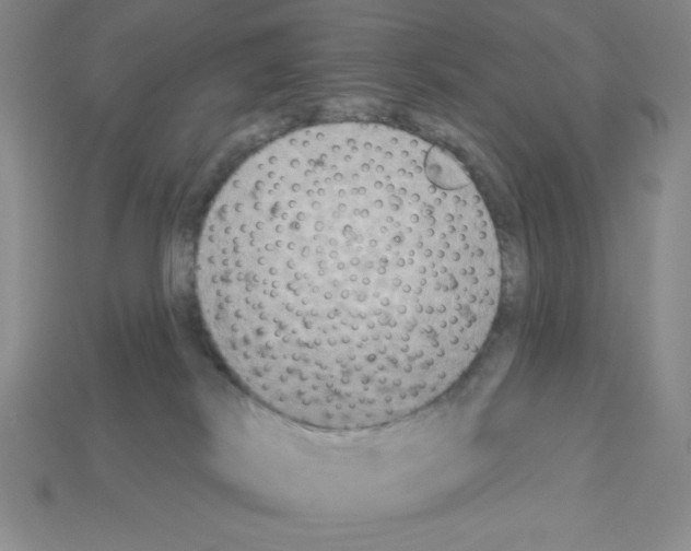 X0000112860038200910021321