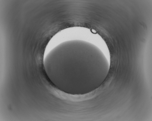 X0000112860039200910021321