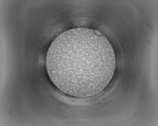 X0000112860040200910021321