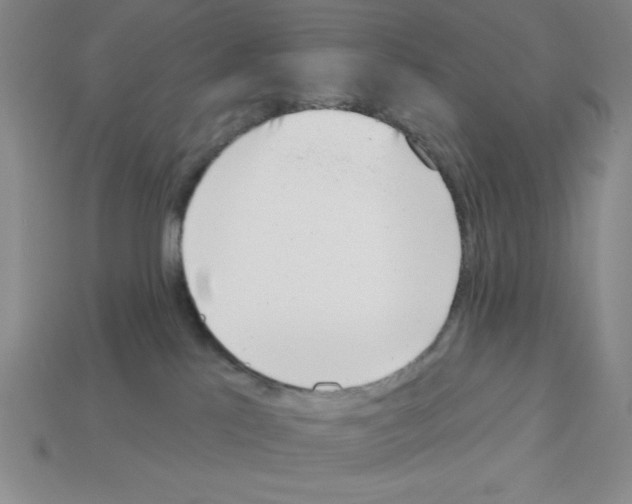 X0000112860041200910021321