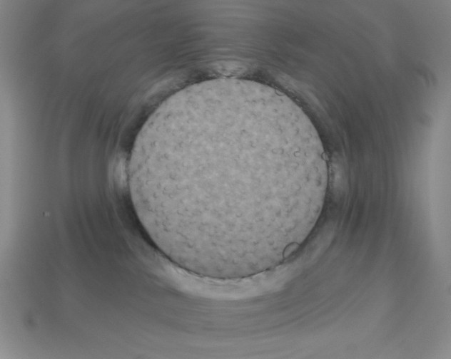 X0000112860042200910021321