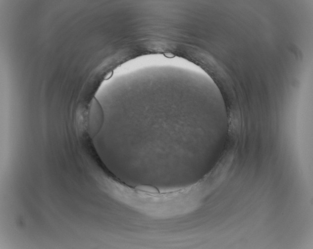 X0000112860043200910021321