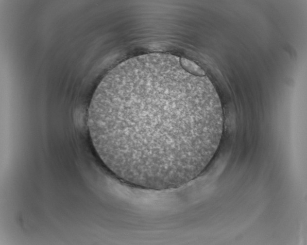 X0000112860044200910021321