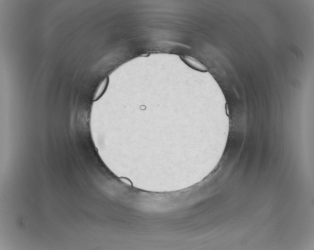 X0000112860045200910021321