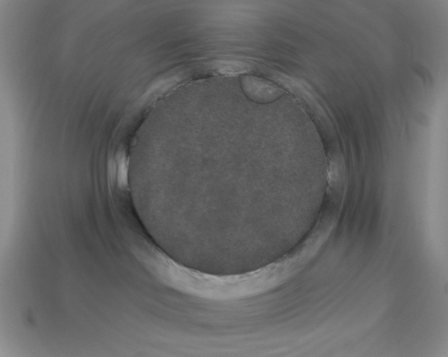 X0000112860046200910021321