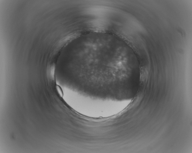X0000112860047200910021321