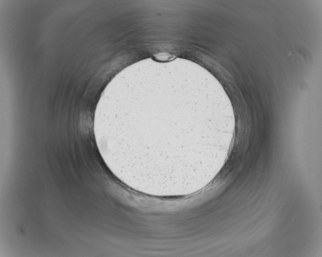 X0000112860048200910021321