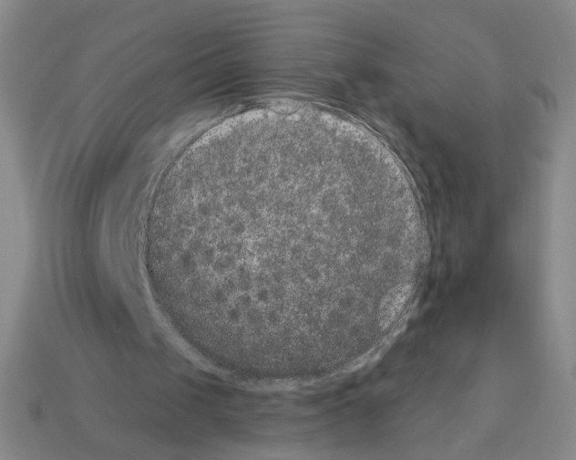 X0000112860049200910021320