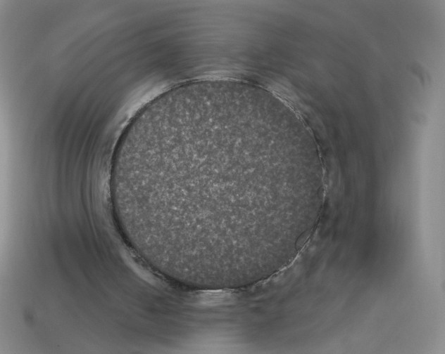 X0000112860050200910021320
