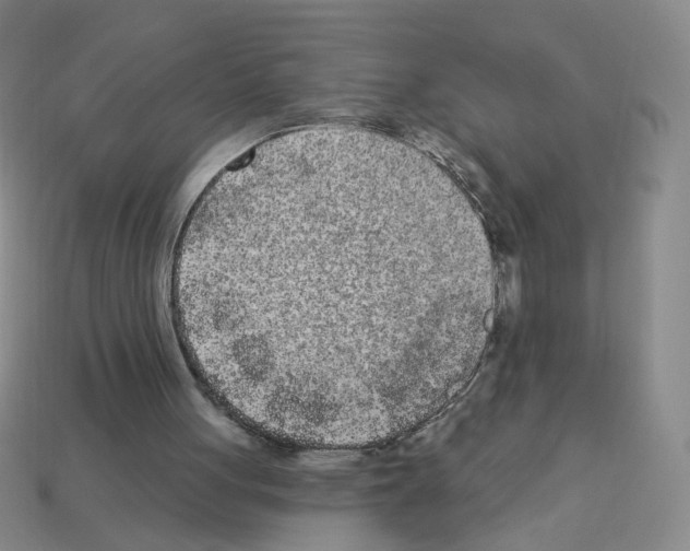 X0000112860051200910021320