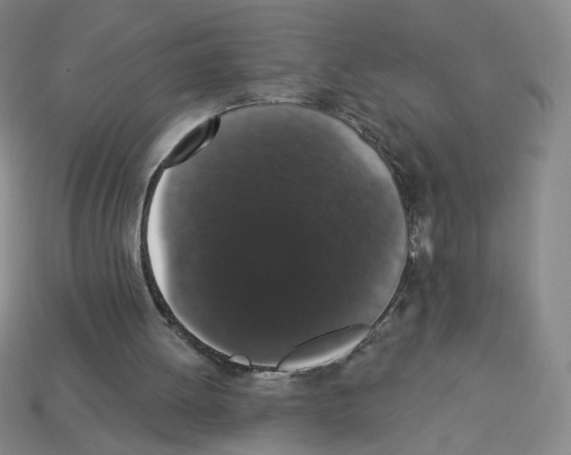 X0000112860052200910021320