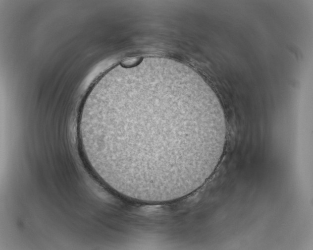 X0000112860054200910021320