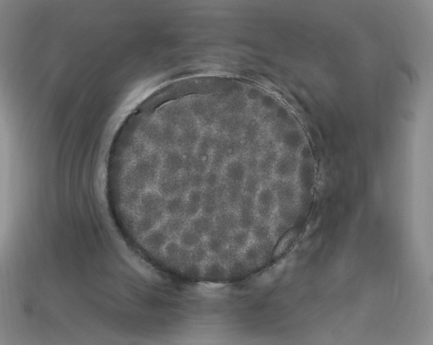 X0000112860055200910021320