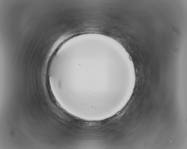 X0000112860056200910021320