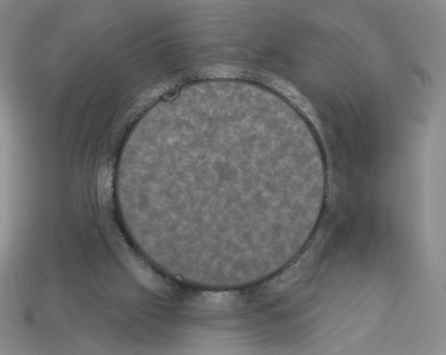 X0000112860057200910021320