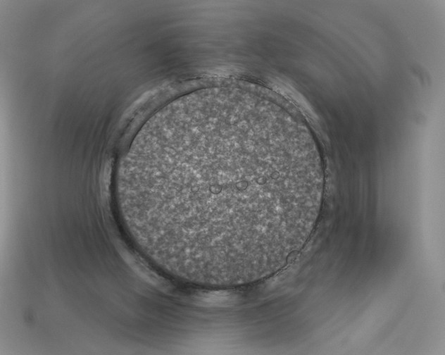X0000112860058200910021320