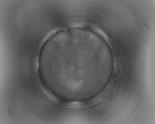 X0000112860059200910021320