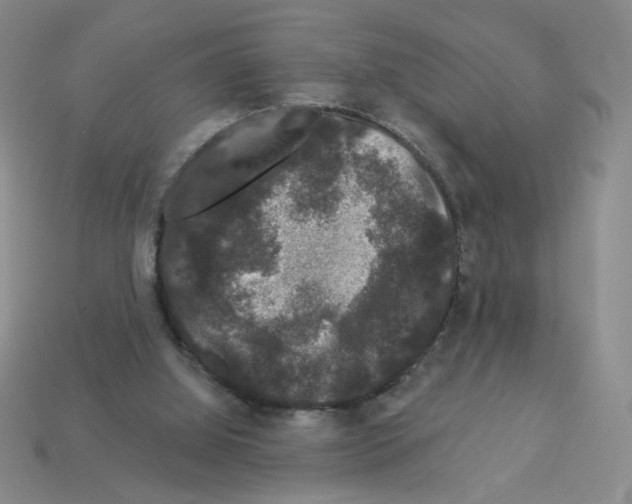 X0000112860060200910021320