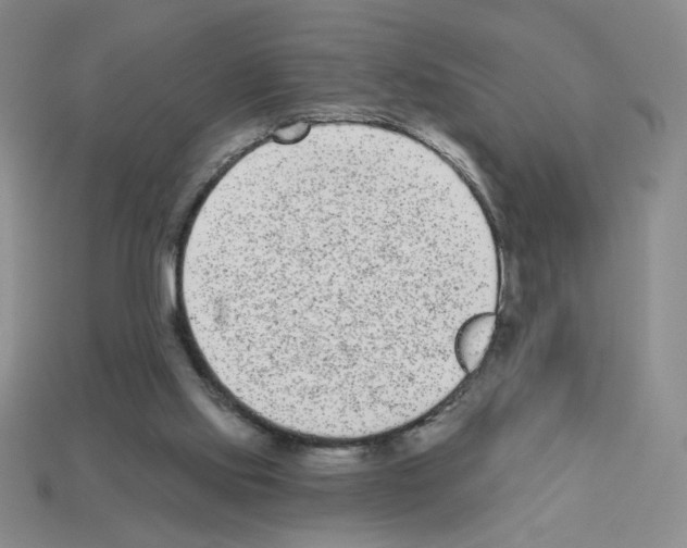 X0000112860061200910021320