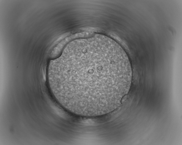 X0000112860062200910021320