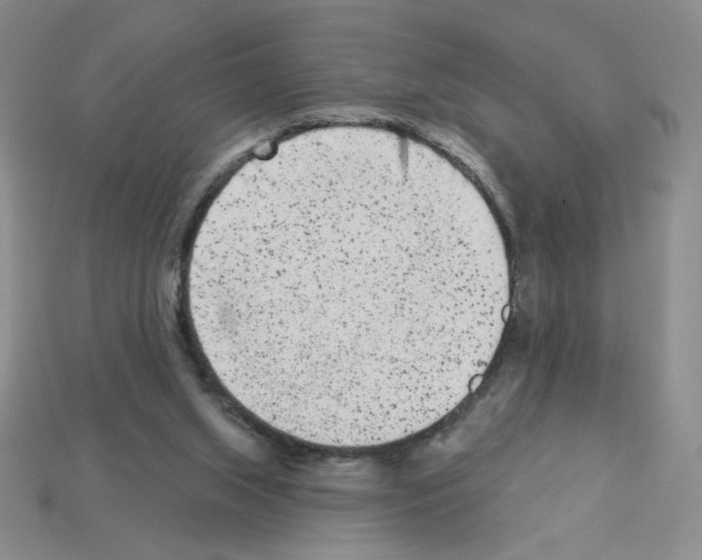 X0000112860063200910021320