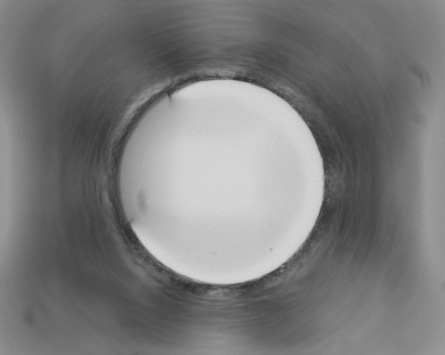 X0000112860064200910021320