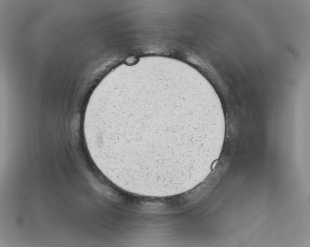 X0000112860066200910021320