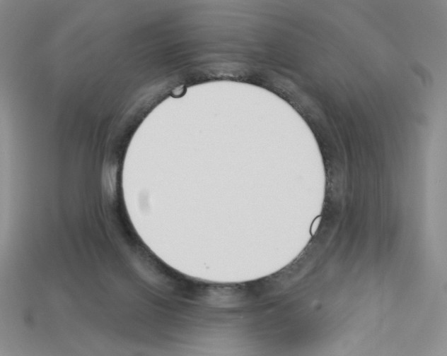 X0000112860070200910021320