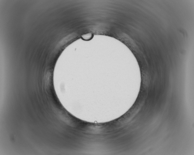 X0000112860071200910021320