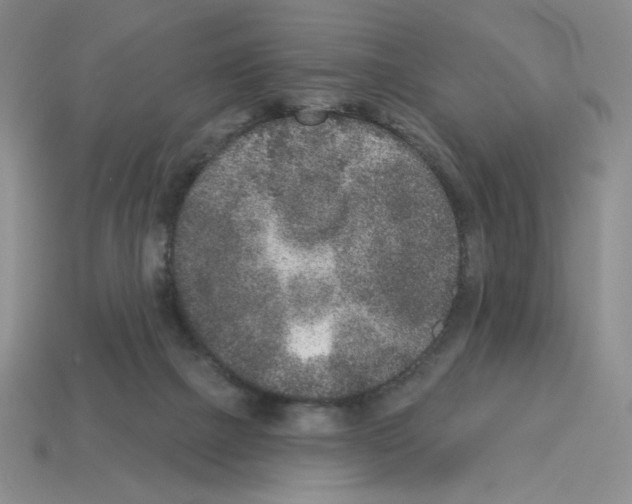 X0000112860073200910021320