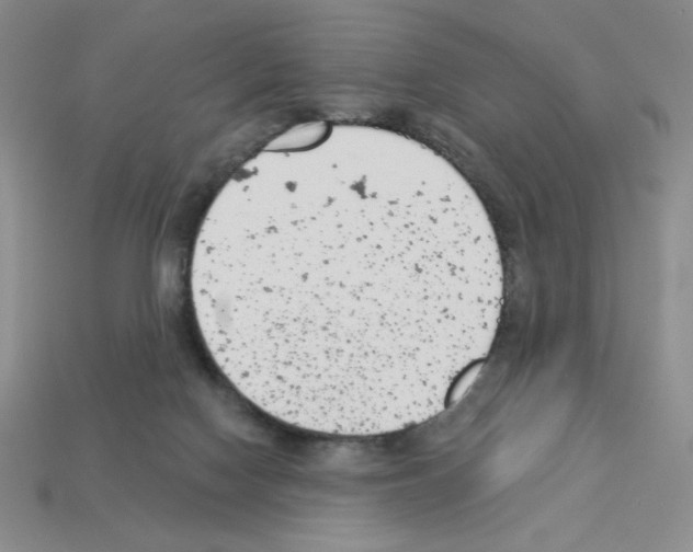 X0000112860074200910021320