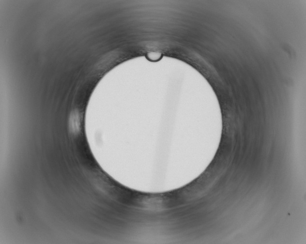 X0000112860075200910021320