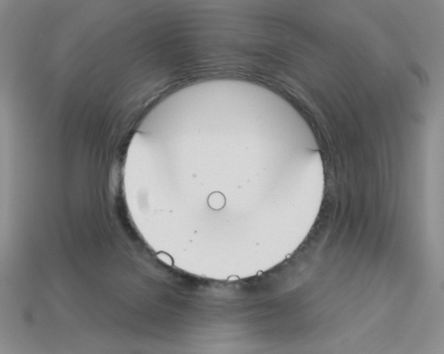 X0000112860076200910021320