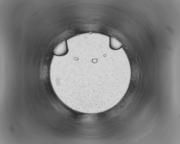 X0000112860077200910021320