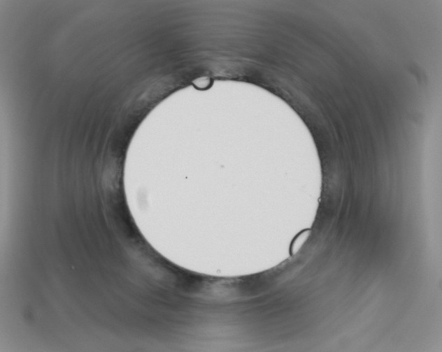 X0000112860078200910021320