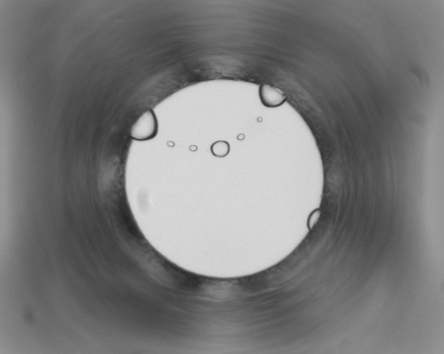 X0000112860079200910021320