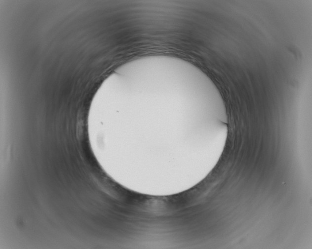 X0000112860080200910021320
