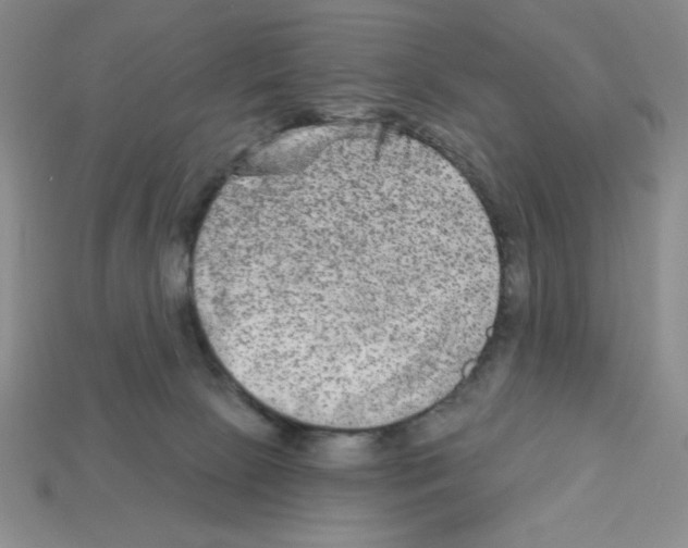 X0000112860081200910021320