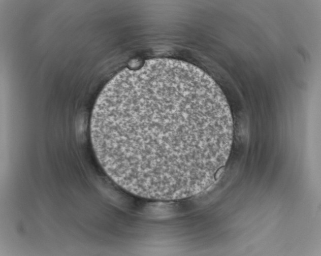 X0000112860082200910021320