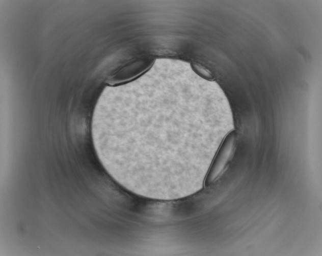 X0000112860084200910021320