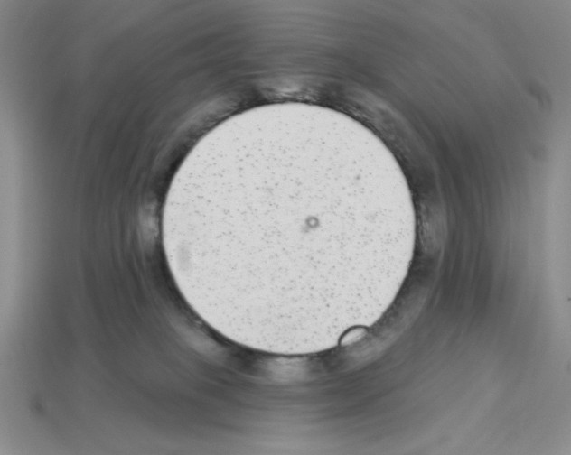 X0000112860085200910021320